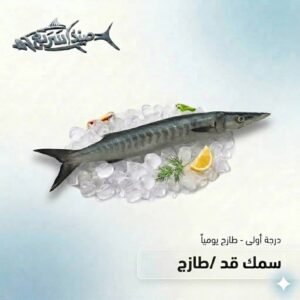 سمك قد كامل